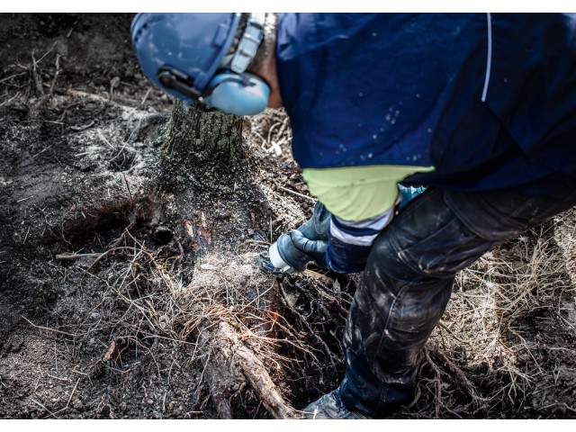 List Bosch za sabljasto žago EXPERT ‘Tough Wood’ S 1242 KHM, 300mm, 3TPI, za les, 2608900406